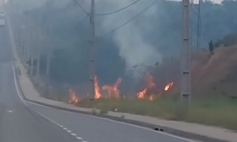 URGENTE: incêndio é registrado ao lado da avenida das Flores; veja vídeo