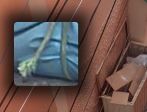 URGENTE: Corp0 é desov4do no Centro de Manaus; veja