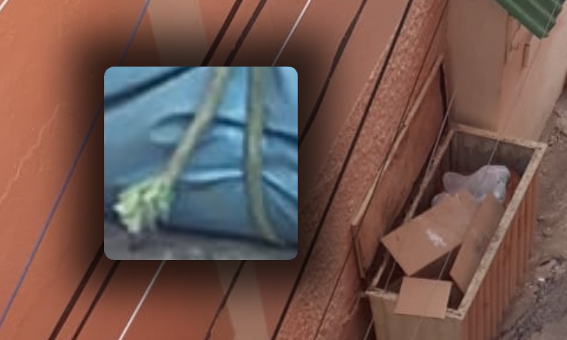 URGENTE: Corp0 é desov4do no Centro de Manaus; veja vídeo