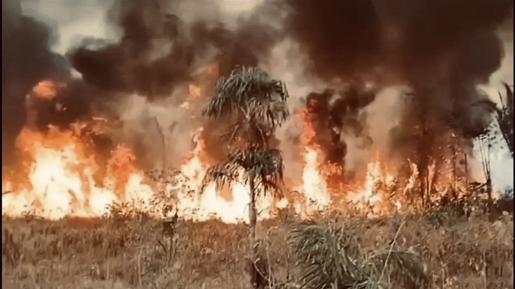 Prefeito de Autazes se desespera vendo população sofrer com queimadas: ‘Demorou muito para chegar ajuda!’; veja vídeo