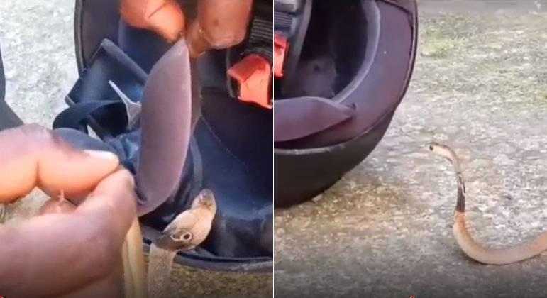 Homem encontra cobra naja escondida dentro de capacete de moto ao deixar local de trabalho