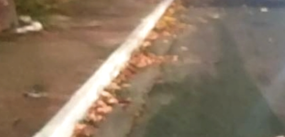 C0rpo é amarr4d0 e desov4do no meio da rua, em Manaus; veja