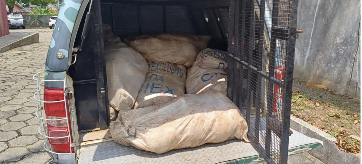 Polícia prende homem por pesca ilegal e apreende um total de 680kg de pirarucu