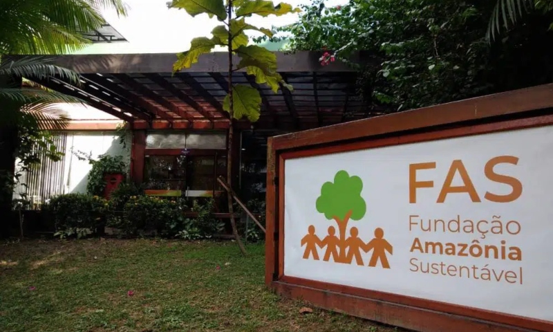 CPI: ONGs receberam uma fortuna de R$ 1,5 bilhão do Fundo Amazônia; veja lista