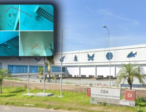 'Estava em ruínas!': nova gestão vai ter que gastar pelo menos R$30 milhões com reforma do CBA
