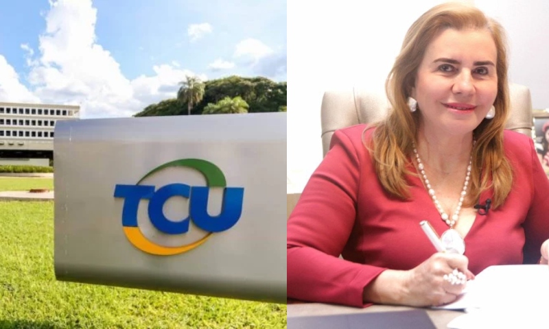 Contra violência de gênero, Tribunal de Contas da União manifesta apoio à conselheira Yara Lins