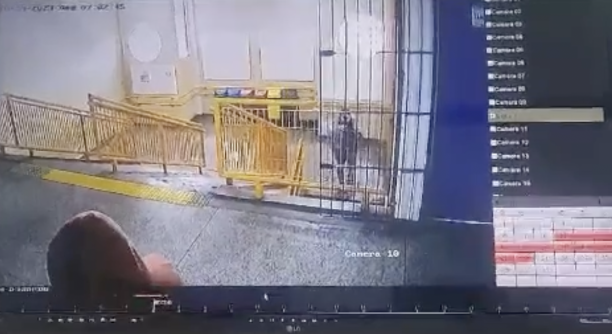 URGENTE: vaza vídeo do momento que aluno comete atent4d0 em escola de São Paulo; CENAS CH0CANTES