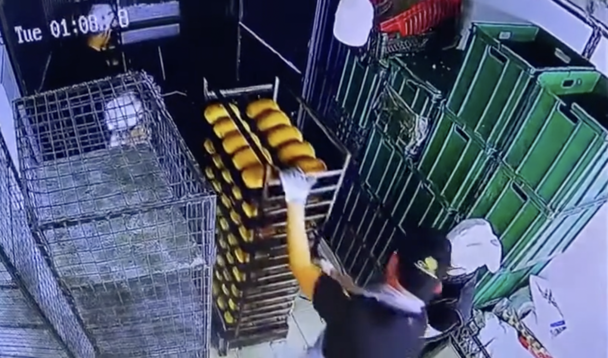 Chocante e desesperador: trabalhador m0rre da pior forma possível enquanto pegava elevador; veja vídeo