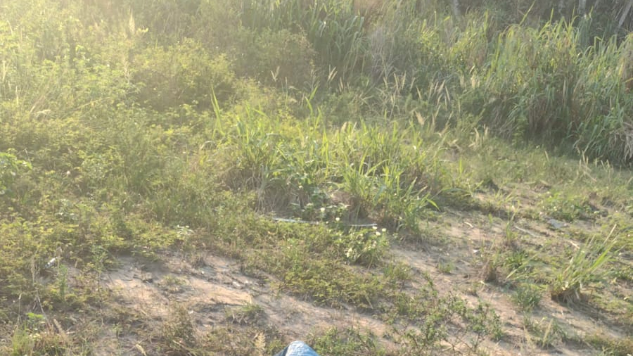 C0rpos são encontrados amarrad0s e com marcas de t0rtura na Avenida das Torres; veja