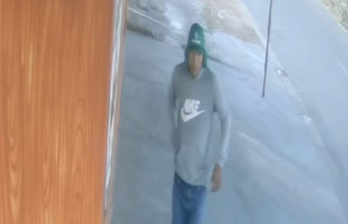 URGENTE: polícia prende m4tador de aluguel suspeito de execut4r mulher a mando de ex-senador