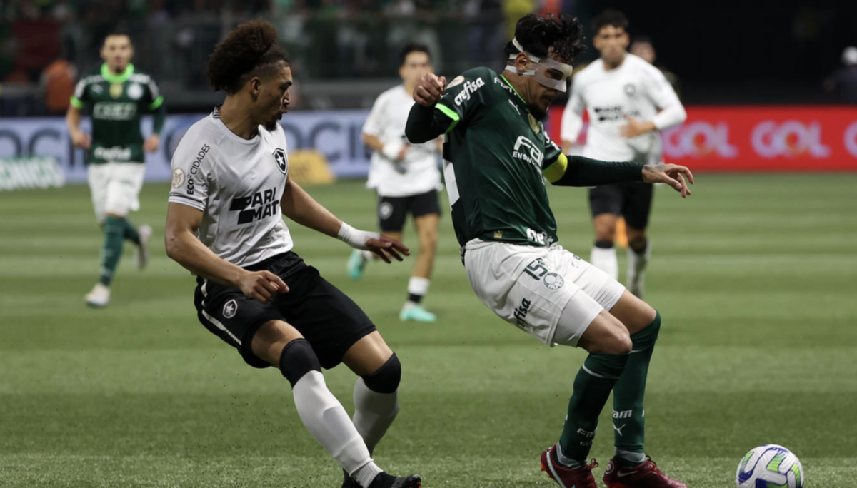 Tentando retomar caminho das vitórias, líder Botafogo recebe Palmeiras