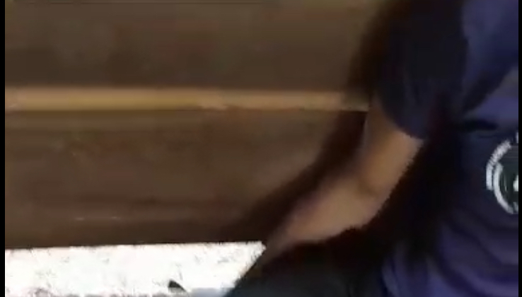 Desesperador: jovem é atac4d0 por jacaré no interior do Amazonas; veja vídeo