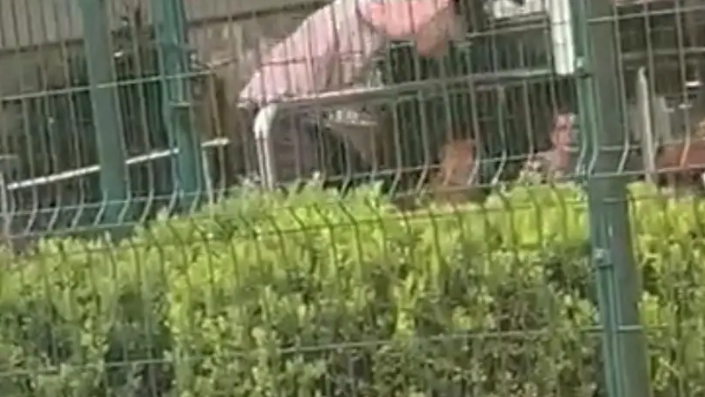 Tudo filmado: veja momento em que morador de rua é esf4queado até a m0rte