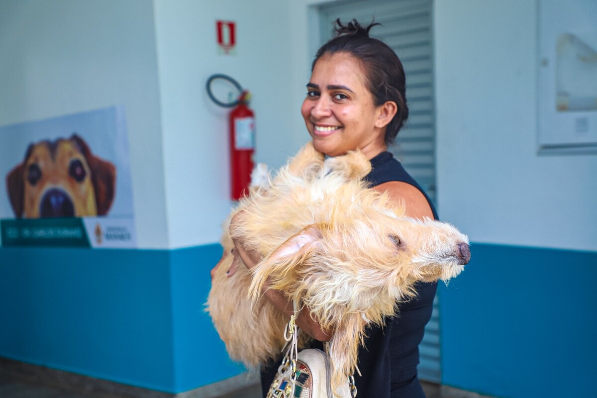 Campanha anual de vacinação Antirrábica Animal já imunizou mais de 156 mil animais em Manaus