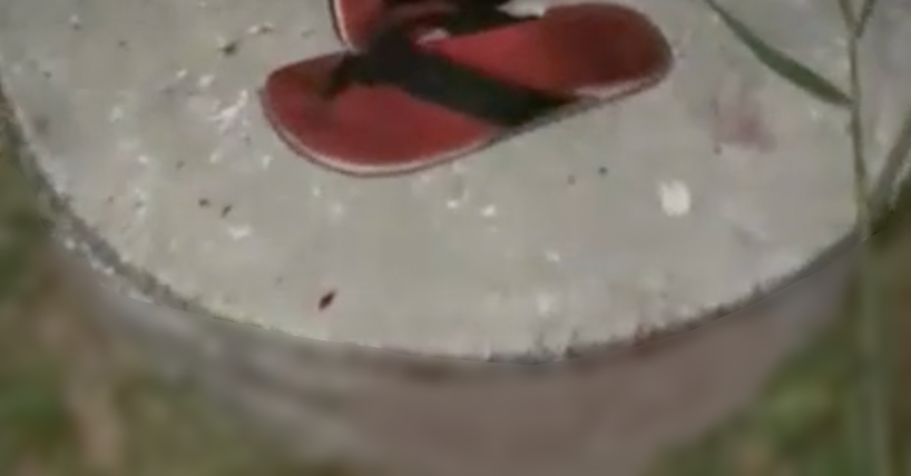 Cenas fortíssim4s: chocante o que facçã0 decide fazer com filho de PM; veja