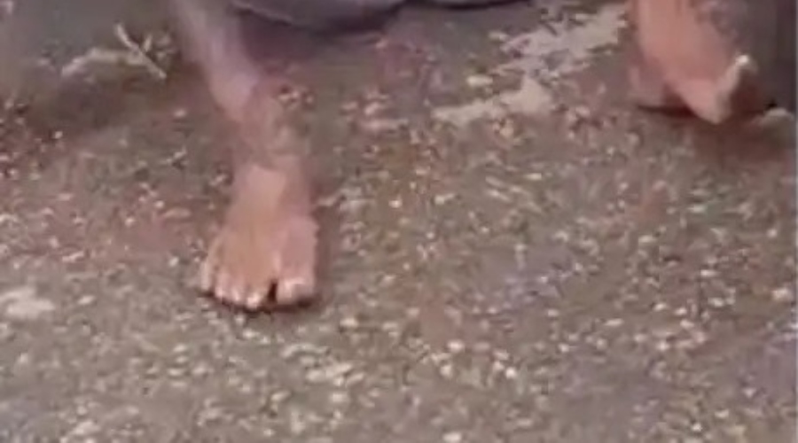 VÍDEO: veja o que moradores do Amazonas fazem com assaltante capturado