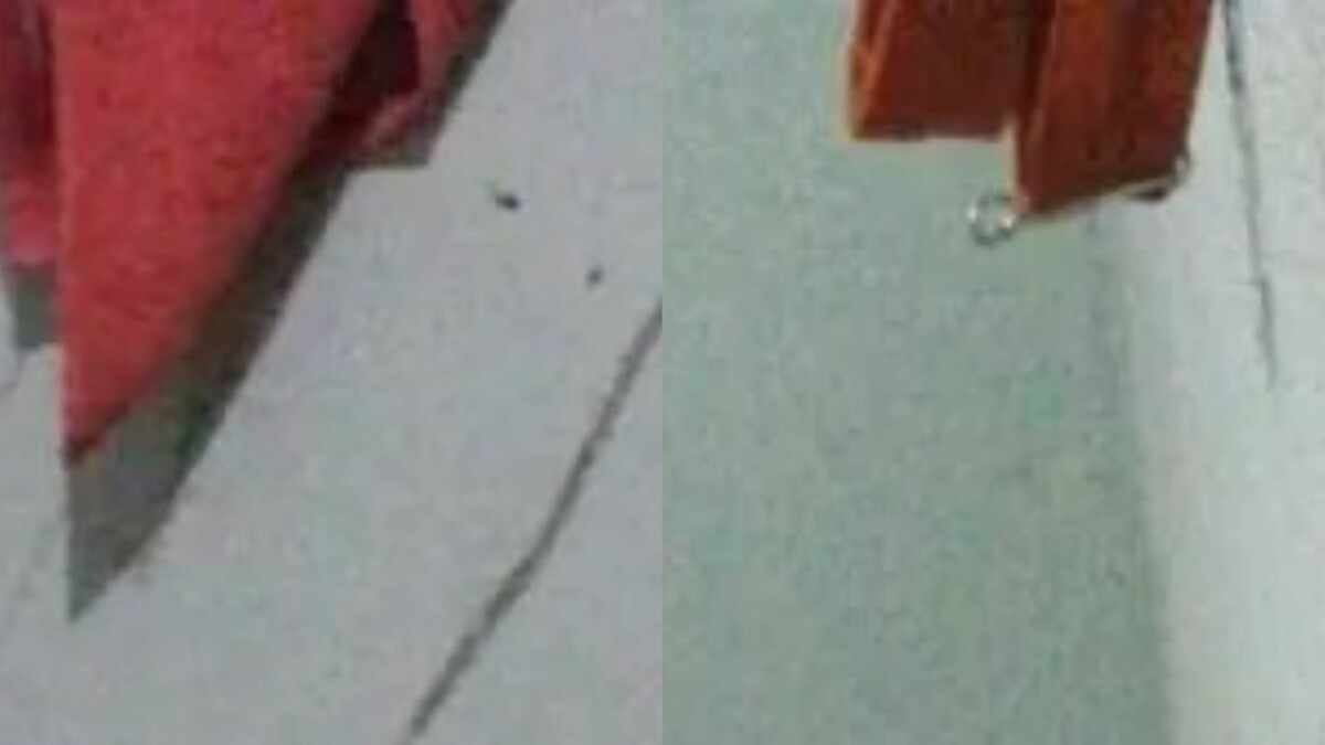 Pistoleiros invadem casa e ex3cutam dois jovens no Amazonas; veja imagens