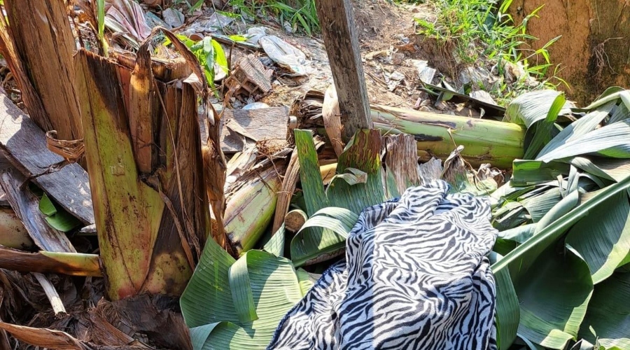 Macabro: C0rpo de homem é achado enrolado em pano dentro de terreno baldio em Manaus