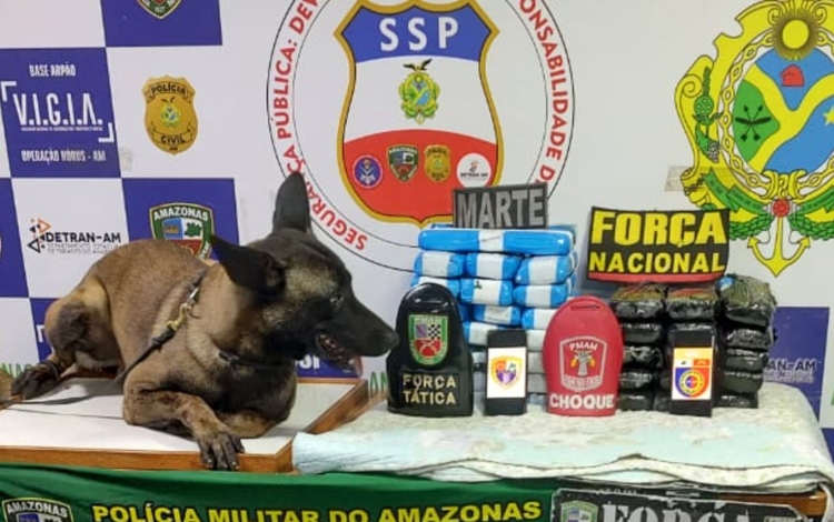 Operação da Base Arpão resulta na apreensão de R$ 2 milhões em cocaína no interior do Amazonas