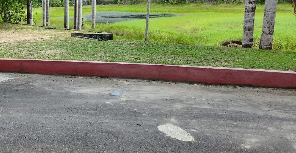 Macabr0: c0rpo de homem amanhece na porta de sítio em Manaus e detalhe choca moradores