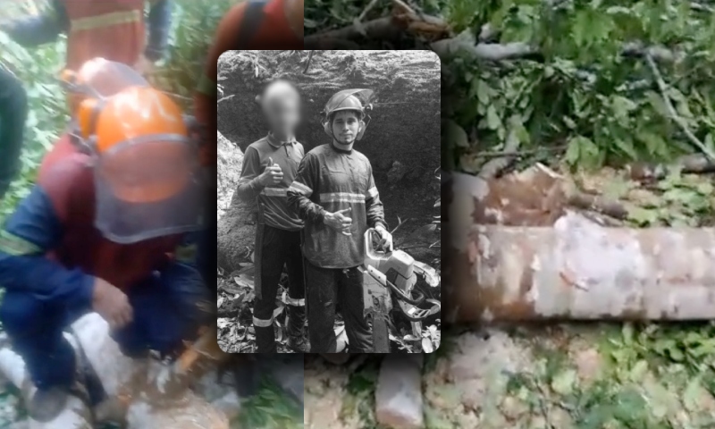 Árvore assassin4: homem chora desesperado ao ver o que aconteceu com amigo; veja vídeo