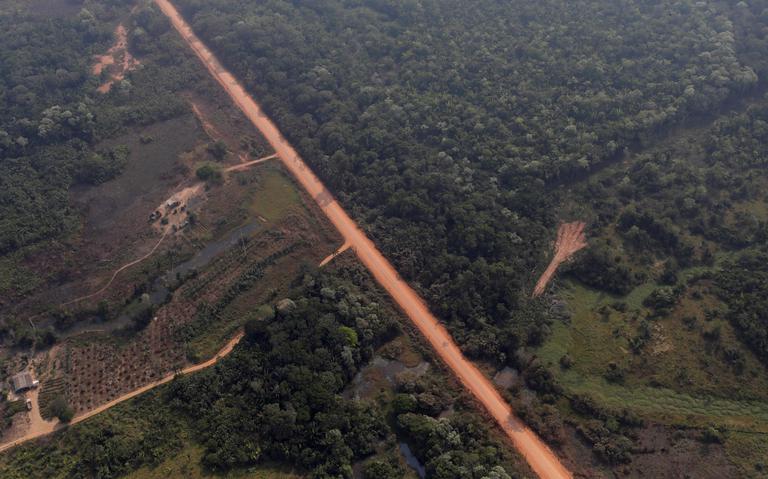 Governo cria grupo de trabalho para discutir reconstrução da BR-319