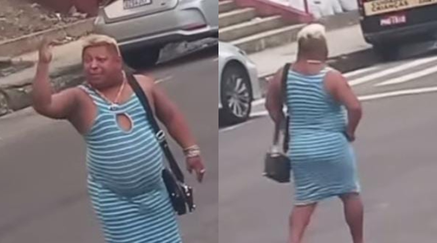 Patixa fica ‘mordida’ ao pegar ônibus errado em Manaus; assista vídeo