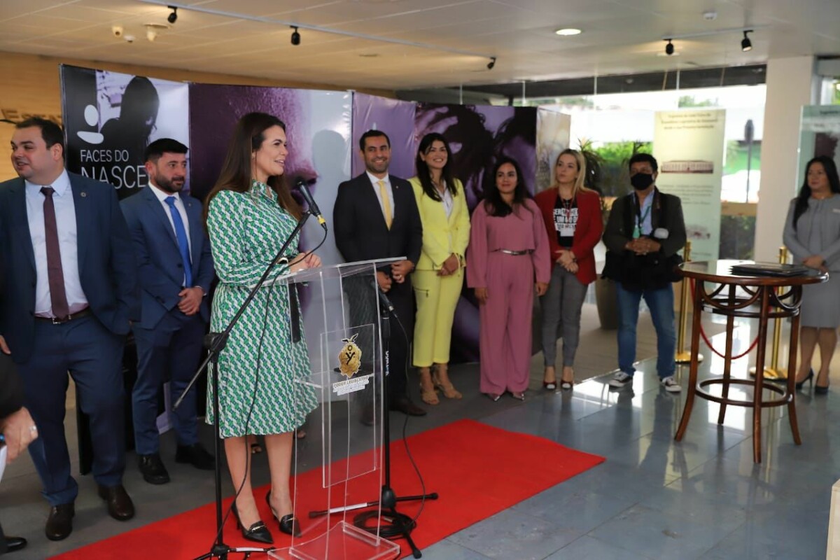 Proteção às mulheres é compromisso da Assembleia Legislativa do Amazonas