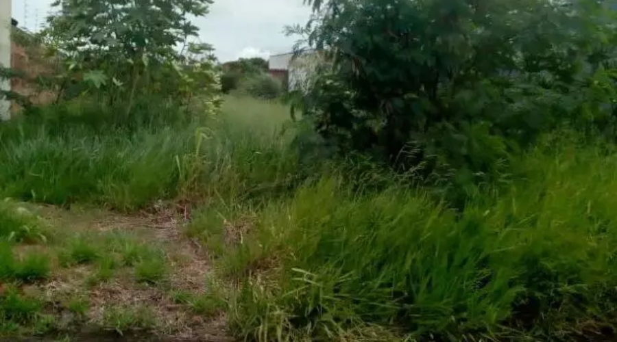 Novinha abus4da é levada para o matagal por membros de f4cção e impl0ra pela vida; veja vídeo