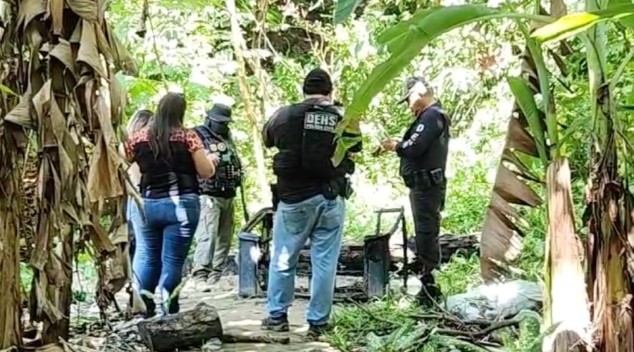 Urgente: cabeç4 humana é achada em matagal no Grande Vitória