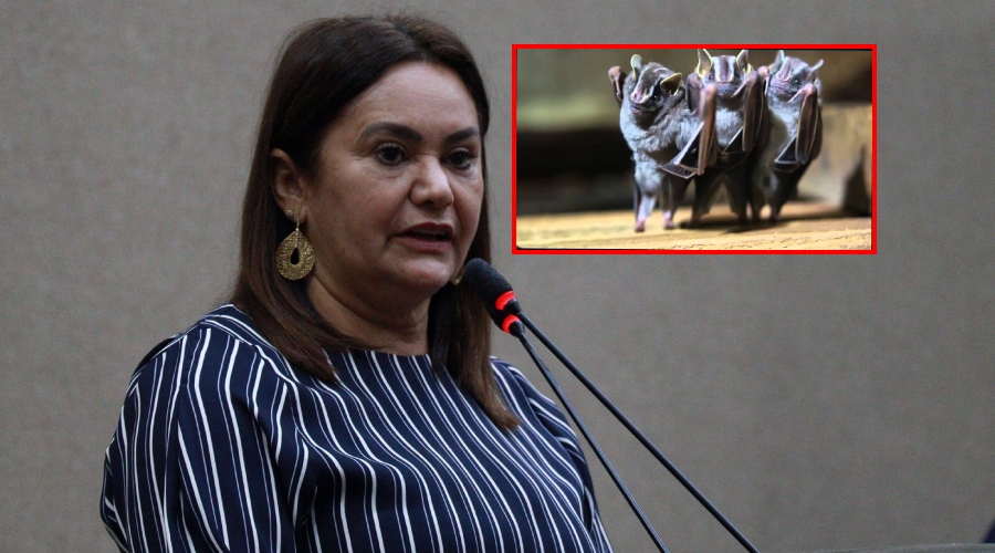 Vereadora esquece a população e cria o ‘Festival do Morcego’ em Manaus