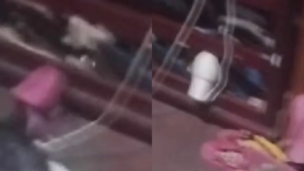 Madrugada s4ngrenta: dois homens e uma mulher são ass4ssinad0s dentro de casa em Manaus; veja vídeo