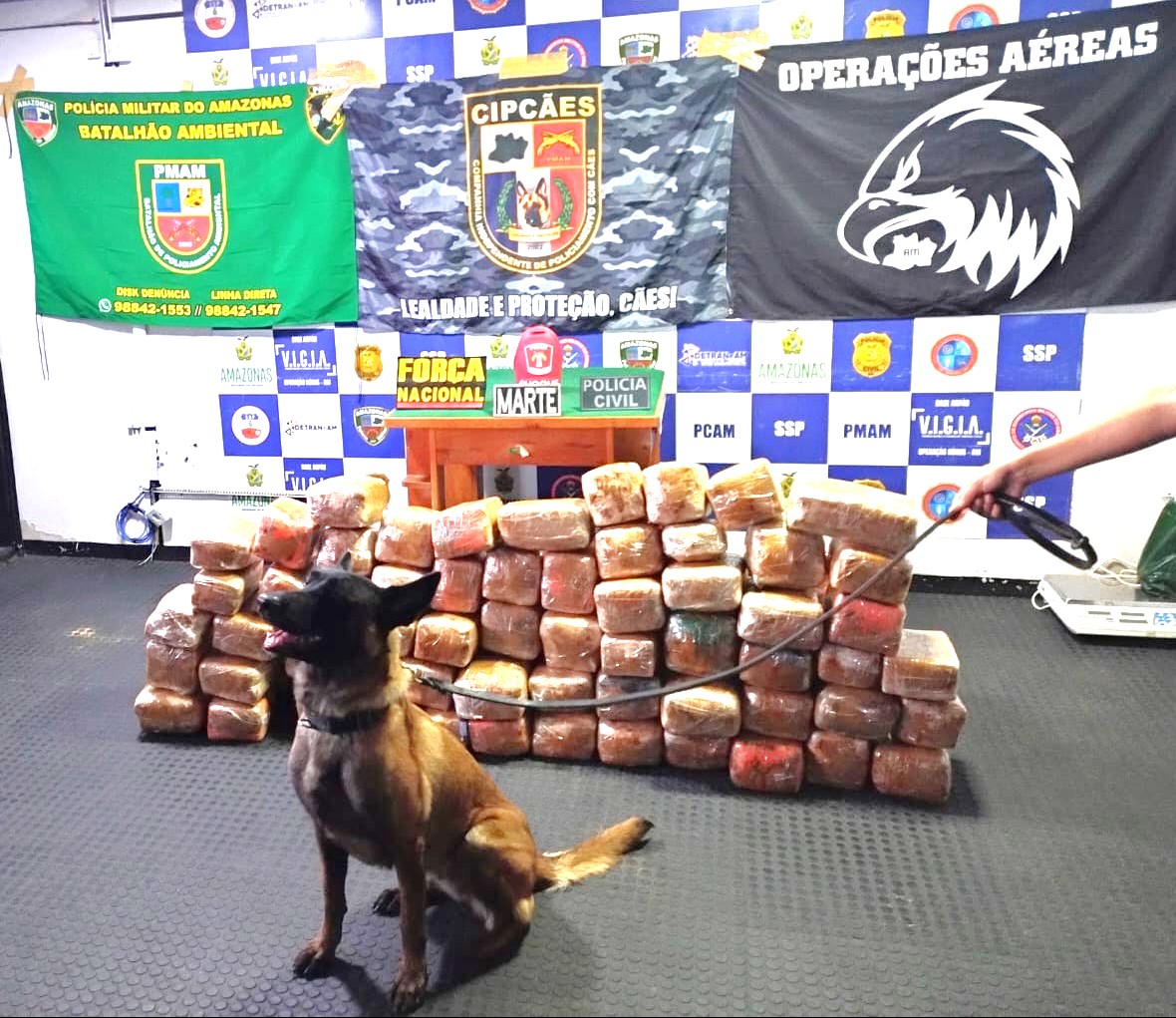 Policiais apreendem 265 quilos de maconha e uma lancha rápida em Coari