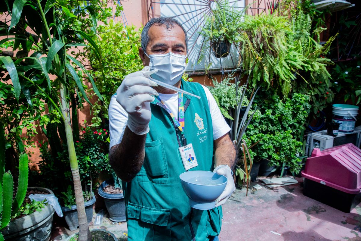 Saiba quais são os bairros mais vulneráveis ao mosquito da dengue em Manaus