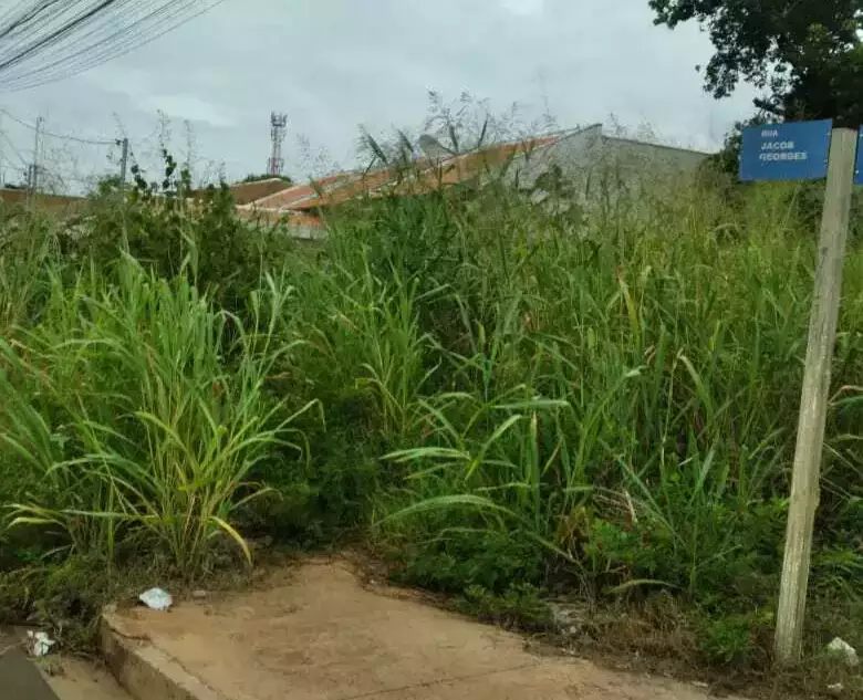 C0rpo é achado em situação depl0rável perto de matagal; veja imagem