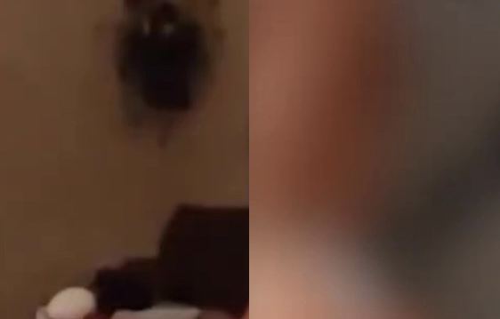 Vídeo íntimo vazado: entenda a baixaria envolvendo a mulher do prefeito; veja