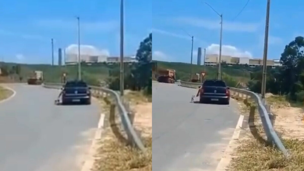 Covardia: vídeo flagra desespero de cachorro ao ser abandonado em estrada; veja