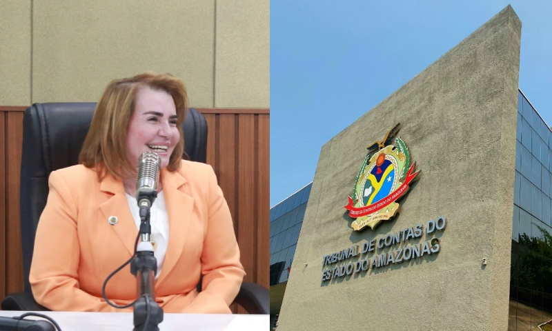 Presidente do TCE-AM anuncia treinamento de prestação de contas para gestores