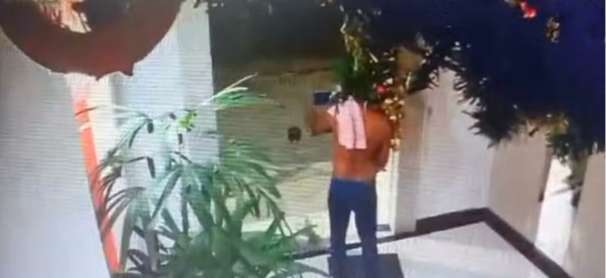 Nem árvore de natal escapa: homem é flagrado furtando enfeite natalino de prédio