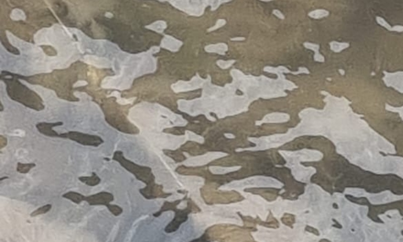 URGENTE: recém-nascido é encontrado mort0 em igarapé do bairro Alvorada; CENA FORTE