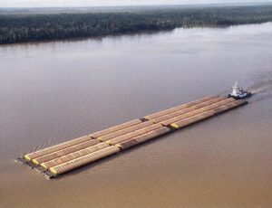 Nível dos rios no AM está abaixo do esperado para o transporte fluvial de cargas, alerta Sindarma