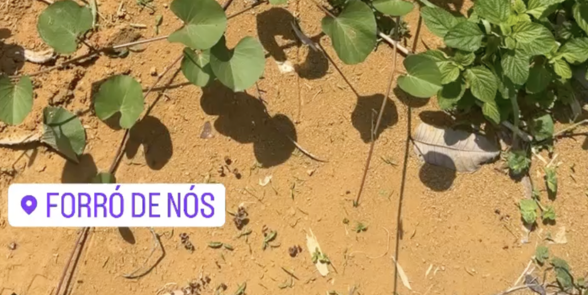 URGENTE: c0rpo coberto de barro é encontrado atrás do Forró de Nós; cenas f0rtes