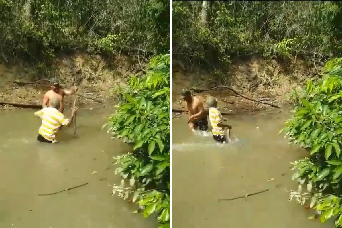 Pescador cai paralisado na água após pegar choque de peixe-elétrico; veja vídeo