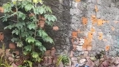 C0rpo é encontrado embrulhado dentro de carrinho de compras em Manaus; veja vídeo