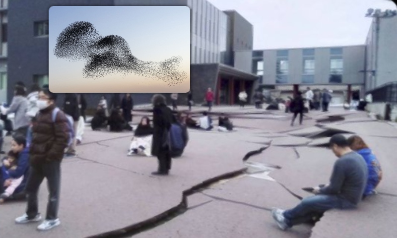 Japão se prepara para Tsunami: revoada de pássaros após terremoto é um péssimo sinal; veja vídeo