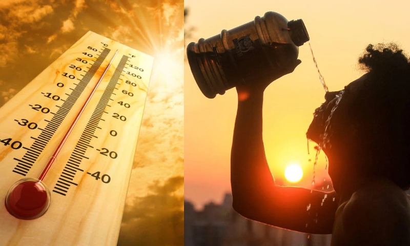 El Niño: 2024 promete ser ainda mais quente, diz Organização Meteorológica Mundial (OMM)