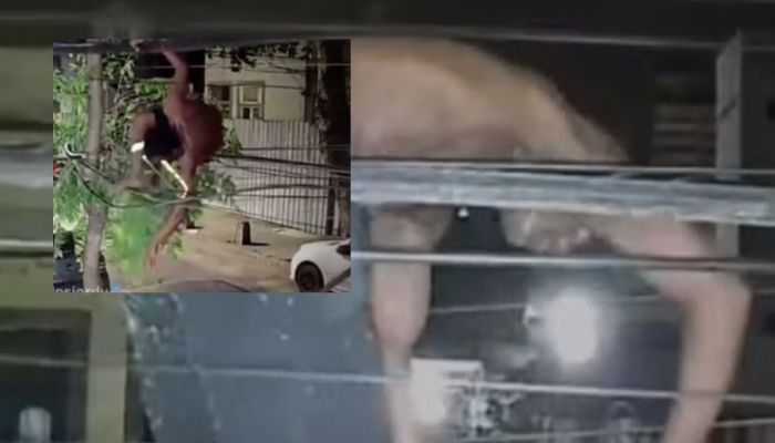 Veja o que aconteceu com o l4drão que tentou r0ubar fios de cobre; cenas f0rtes