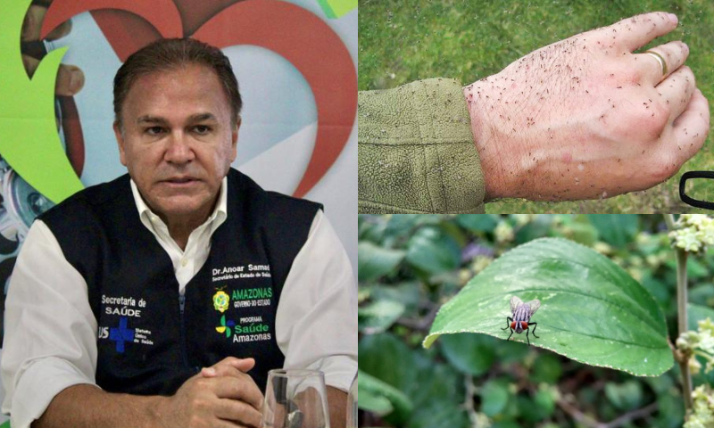 Secretário de Saúde do Amazonas faz alerta sobre “Virose da Mosca” e reforça medidas preventivas