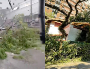 Caos em São Paulo: forte chuva gera alagamentos, queda de árvores e falta de luz; veja vídeo