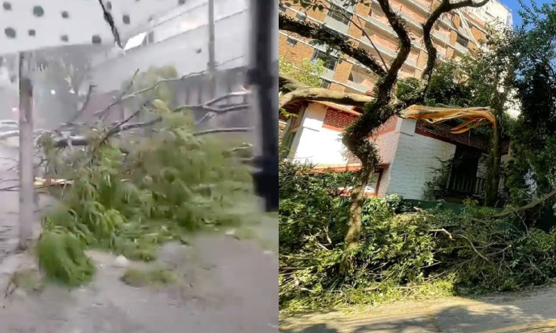 Caos em São Paulo: forte chuva gera alagamentos, queda de árvores e falta de luz; veja vídeo